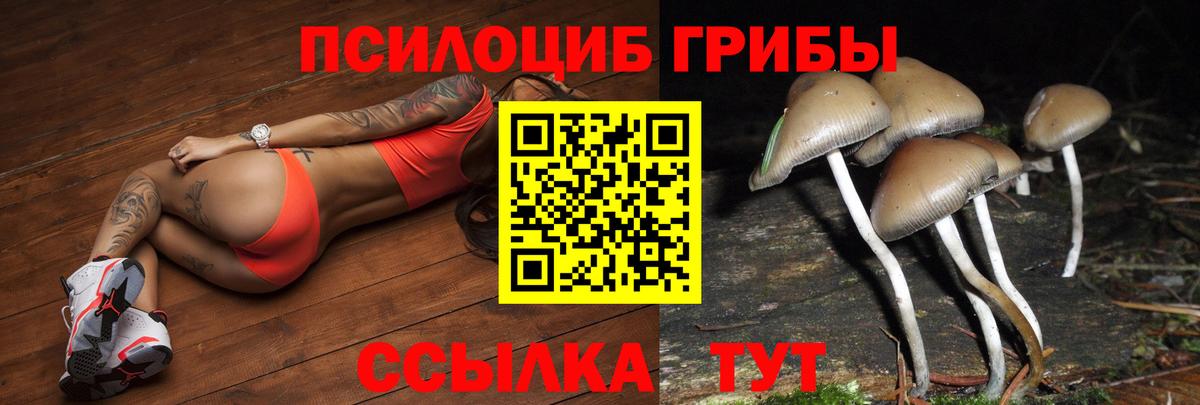 Галлюциногенные грибы Cubensis Верхний Уфалей